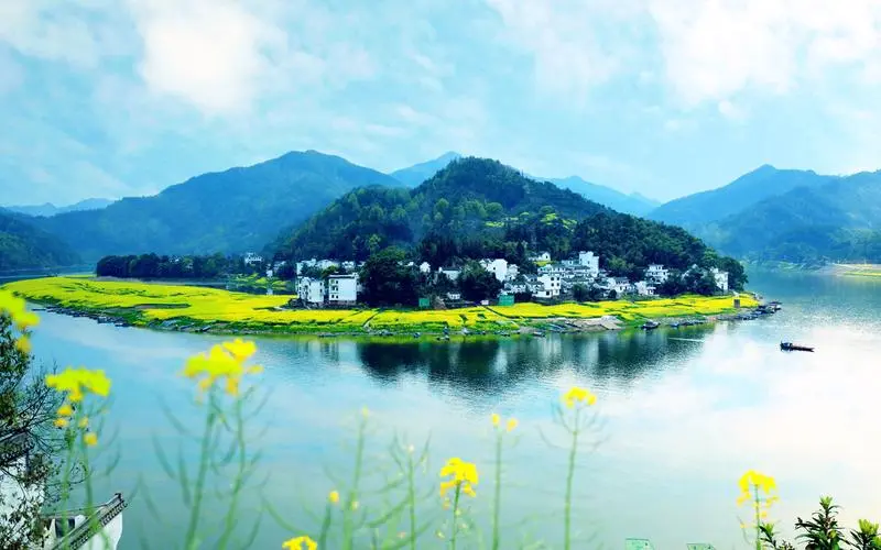 创意创意高效